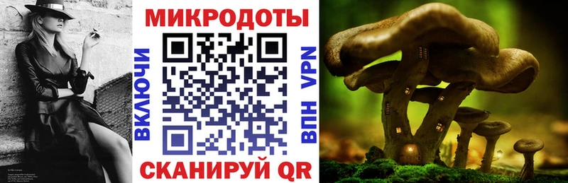 где купить наркоту  Воронеж  Псилоцибиновые грибы мухоморы 